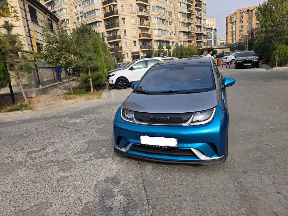 Продается BYD дельфин