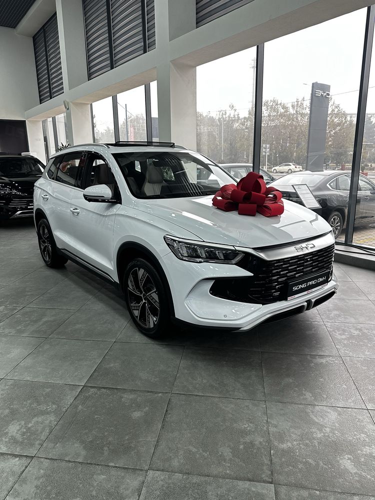 BYD Song Pro DM-i 110km Flagship