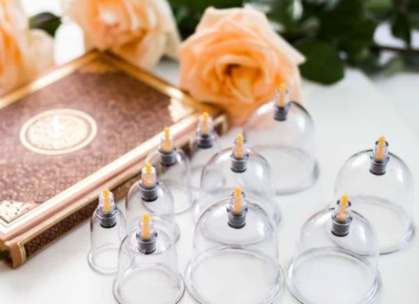 Профессиональная Хиджама