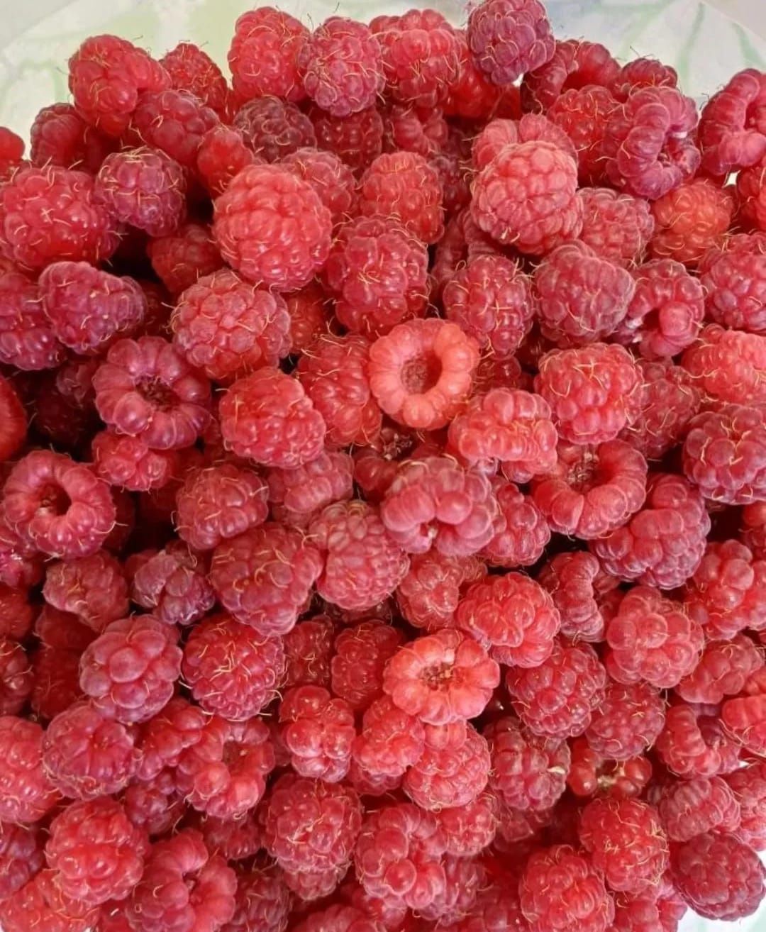 Продам вишню малину.