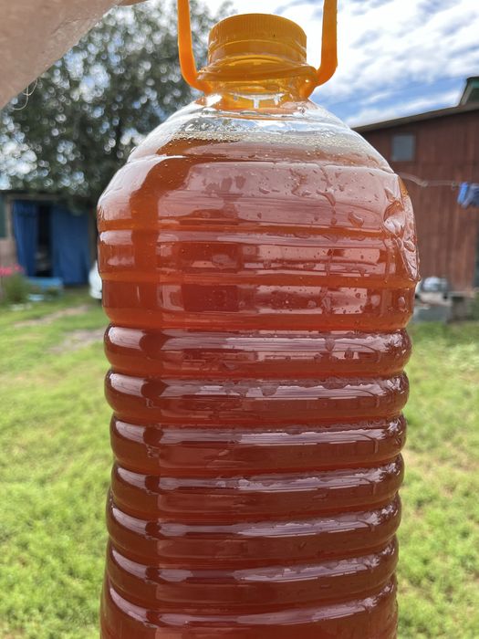 Мёд 2025года !!! С доставкой.