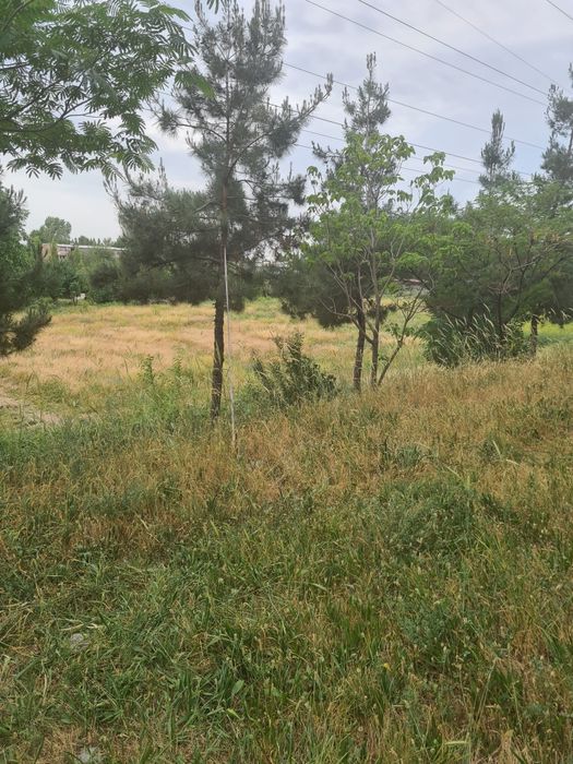 Продается земля 1.2 гектара.