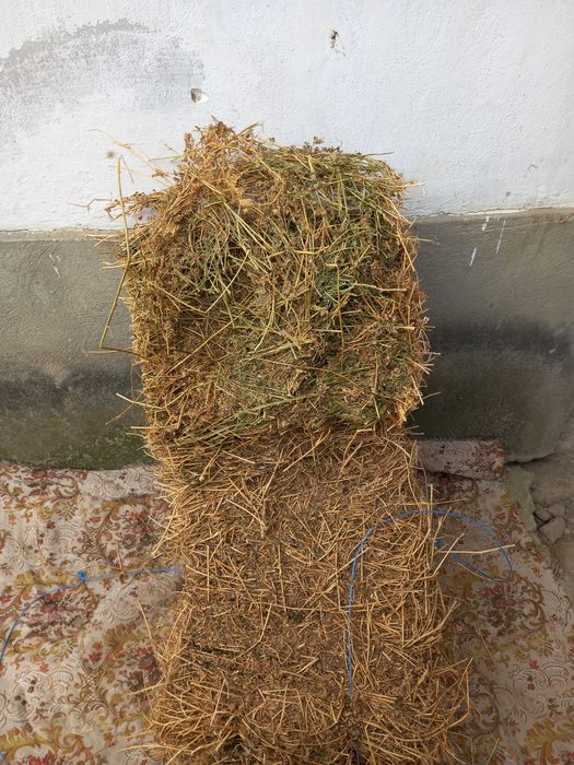 Vând baloti de lucerna