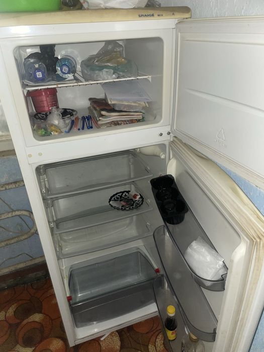 Holodelnik muzlatgich