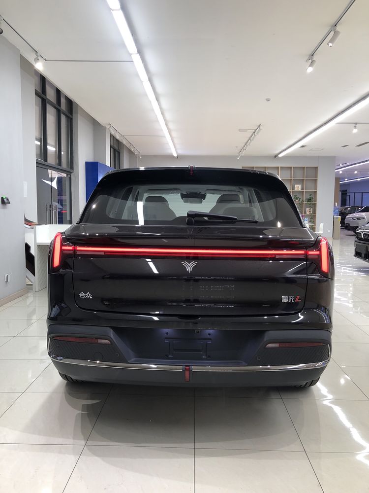 Neta L 310Km Gibrit 1 - yil Kafolat