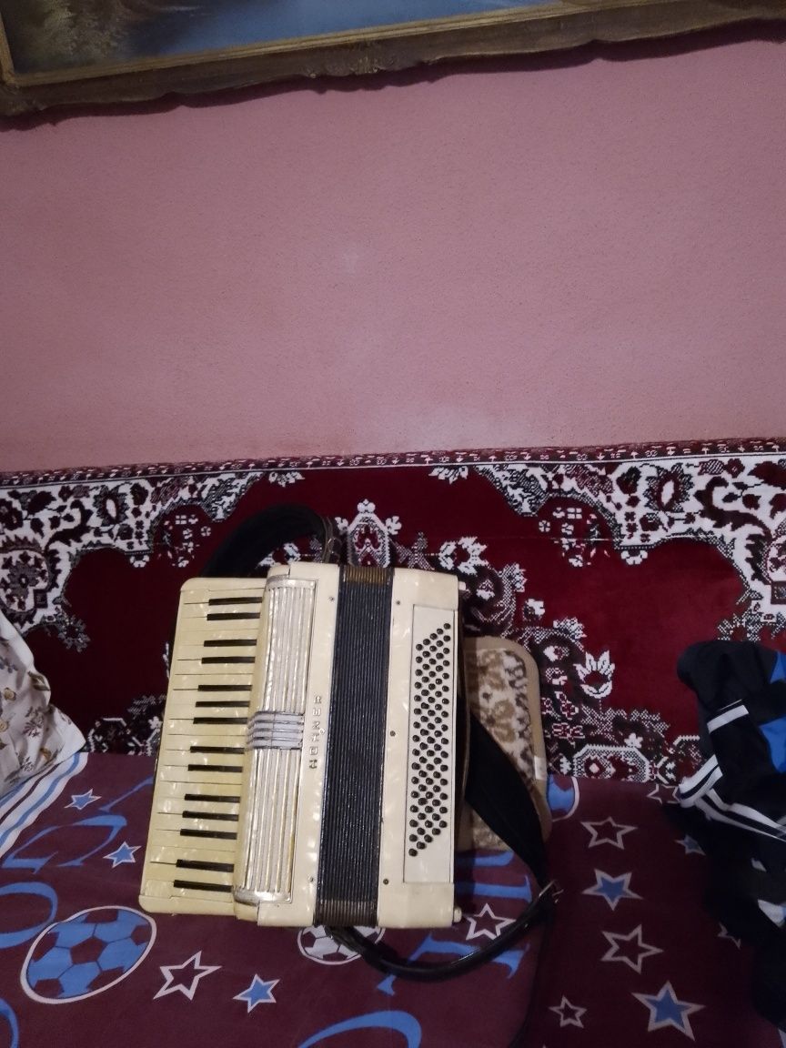 Acordeon hohner 80 bași suna 500 euro negociabil