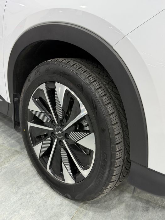 Byd Chempion restyling