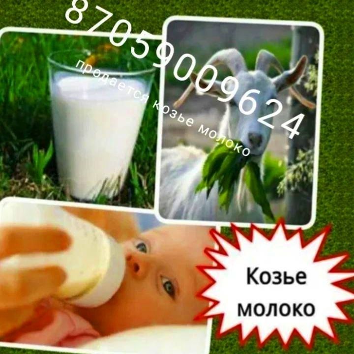 Продается козье молоко