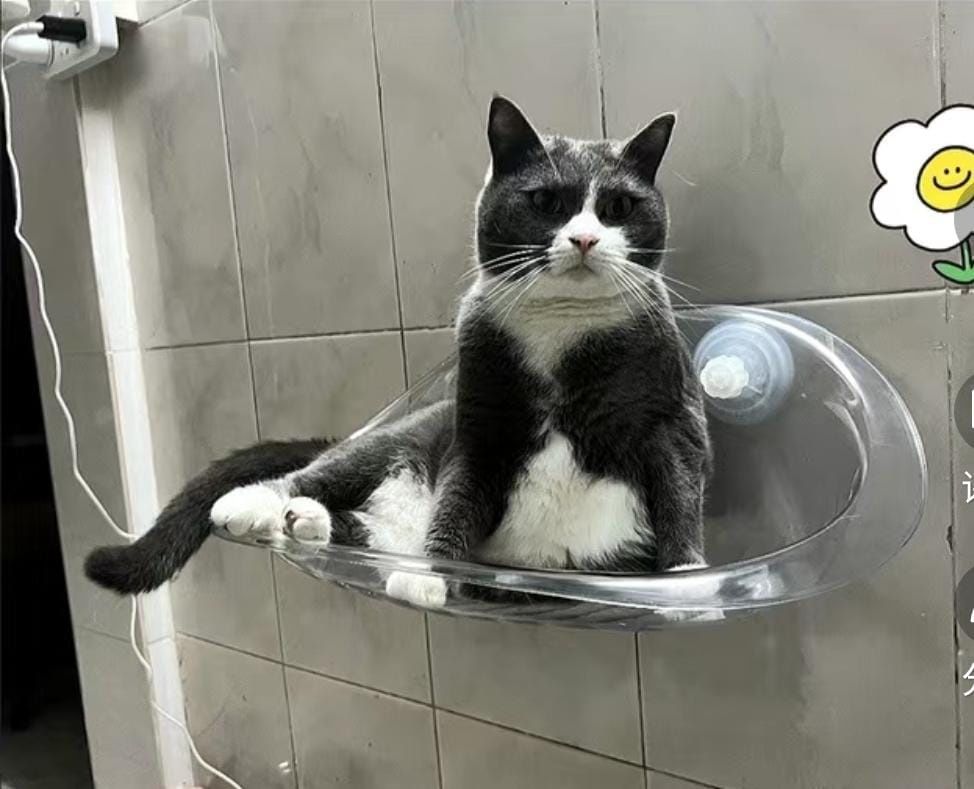 Лежанка для кота (Новая)
