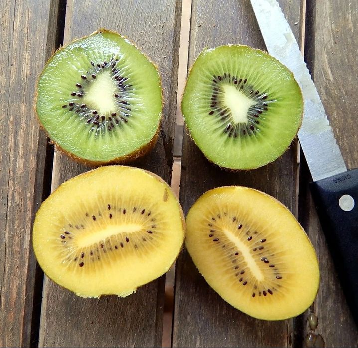 Kiwi (Soiul Gold ) Făra Puf