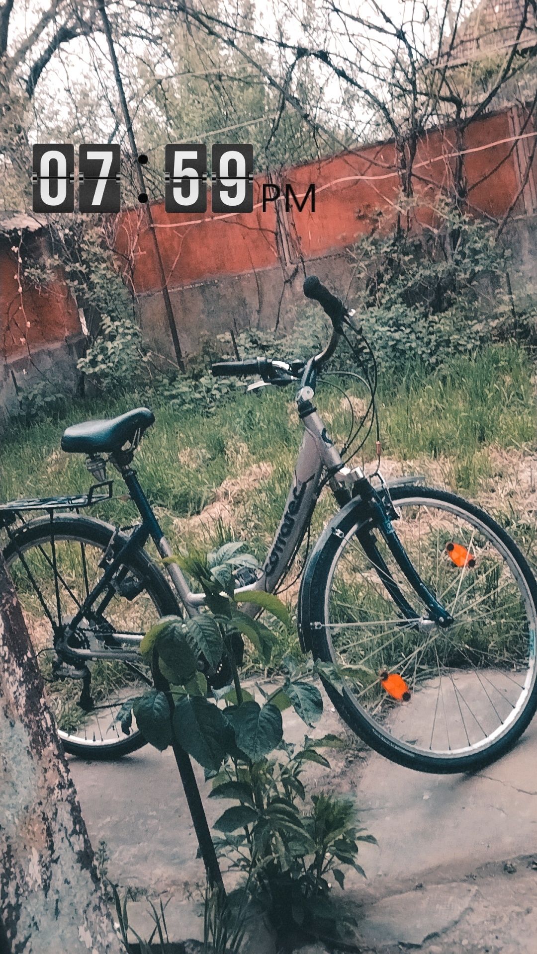 Bicicleta  corratec sunset