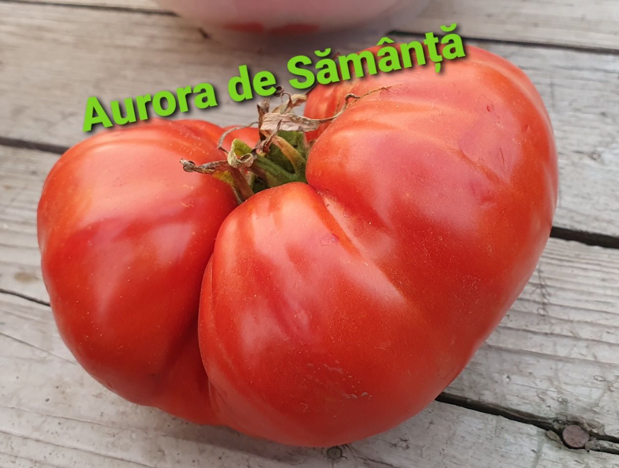 Seminte Rosii Aurora Soi Romanesc Bio 100%