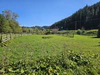 Teren Intravilan de vanzare in Bucovina Breaza