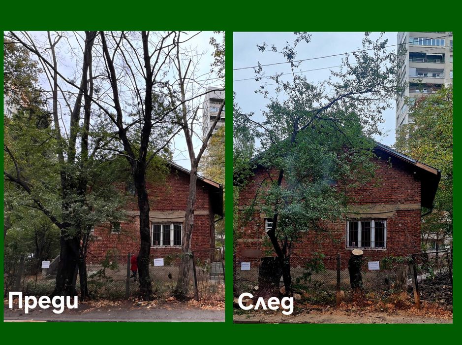 Рязане и кастрене на опасни дървета с автовишка