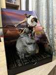 Assassin’s Creed Origins Collector’s Edition