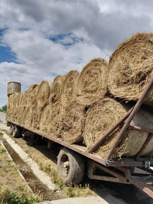 Baloti lucerna c1.c2.Rotunzi.Min 40.Drept.500.sau fan.La TIR>RO.UE