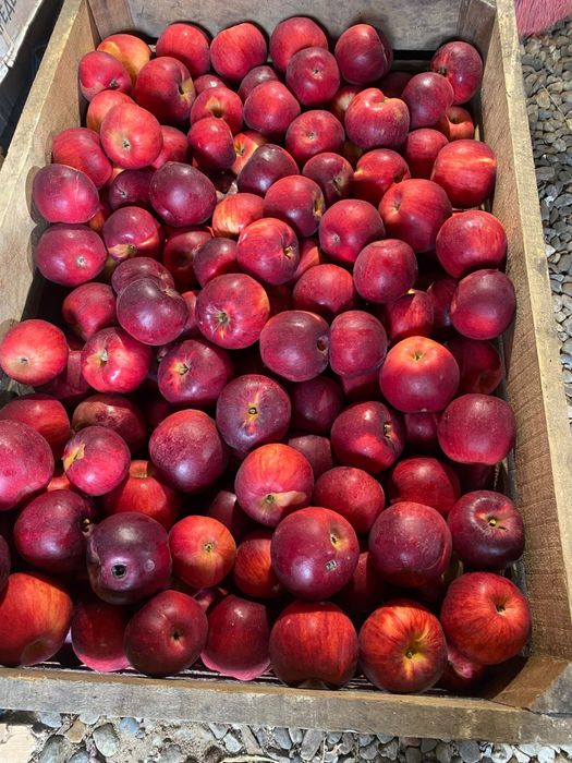 Mere de vanzare diverse sortimente