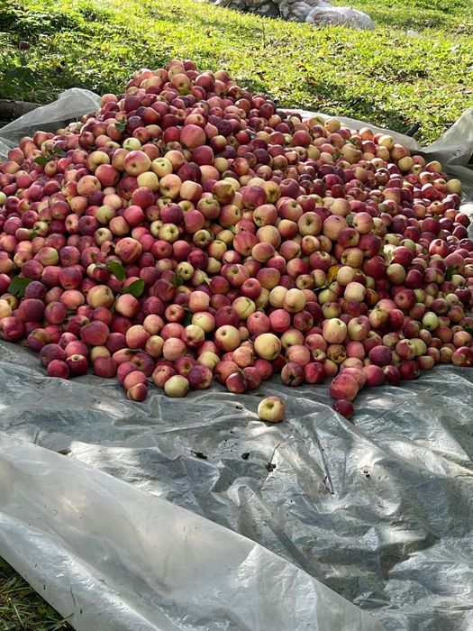 Mere pentru industrie