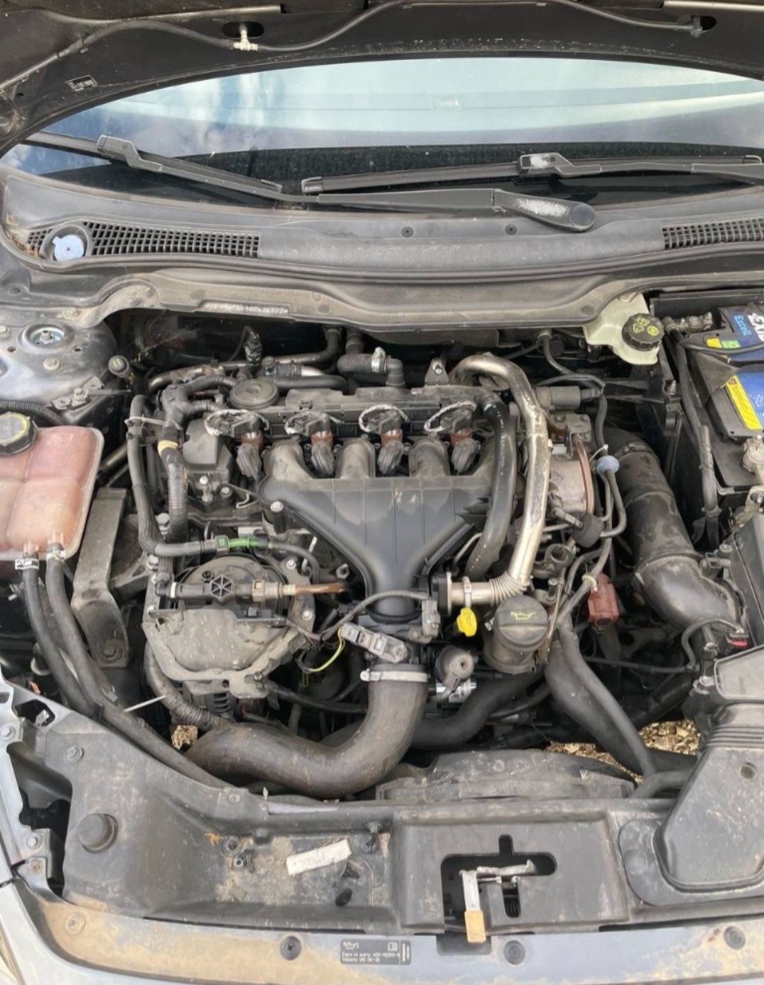Volvo v50 2.0D 2008 г.