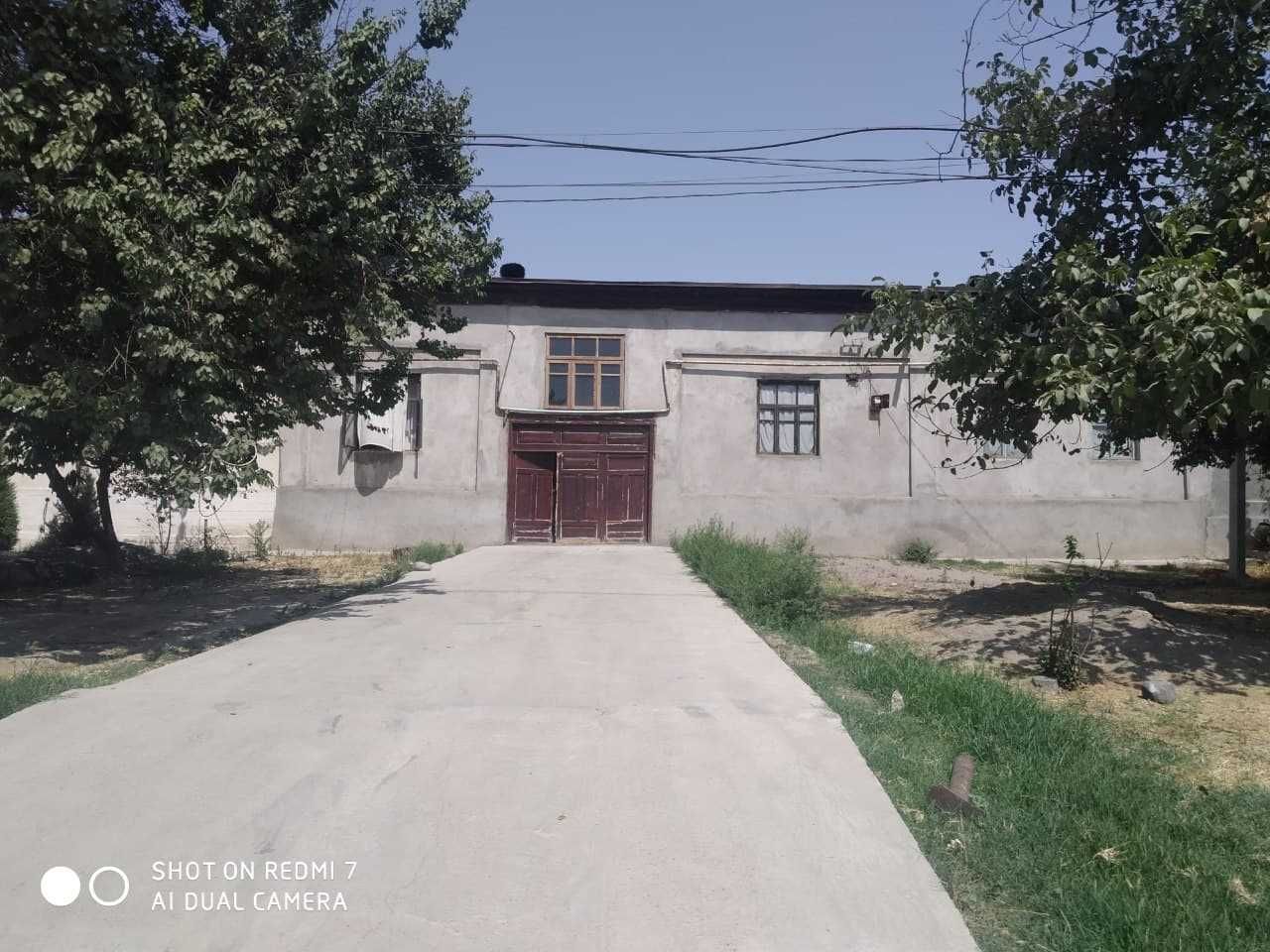 Назарбек Харакатда уй сотилади