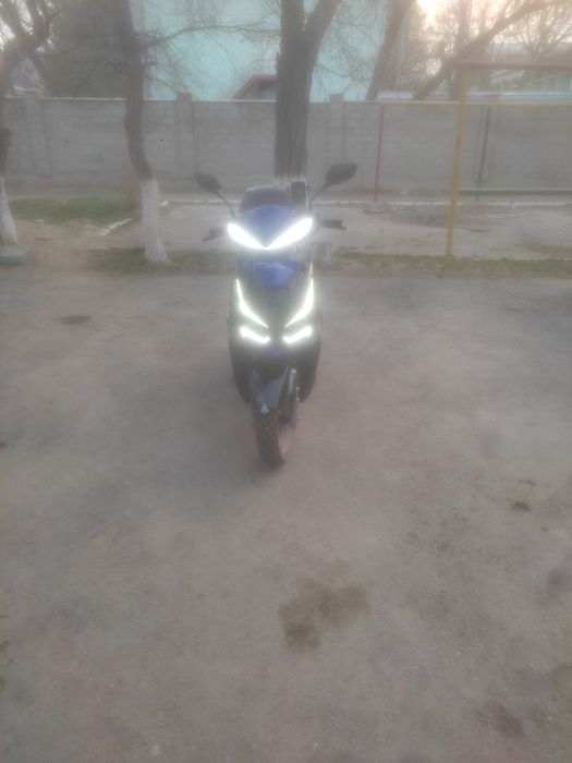 Скутер. М 8.     .