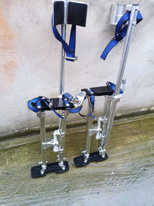 Picioroange , catalige .