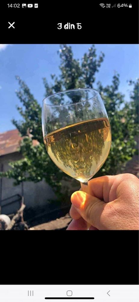 Vand struguri de vin productie 2024 transport la domiciliu