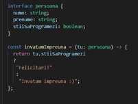 Meditatii informatica / Invata sa programezi - 70 lei / ora