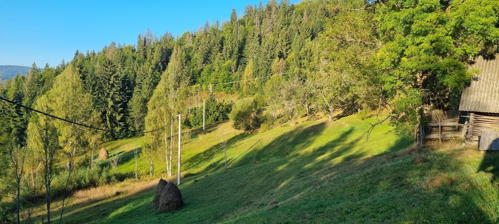 Casa de vanzare cu teren in com Scărişoara