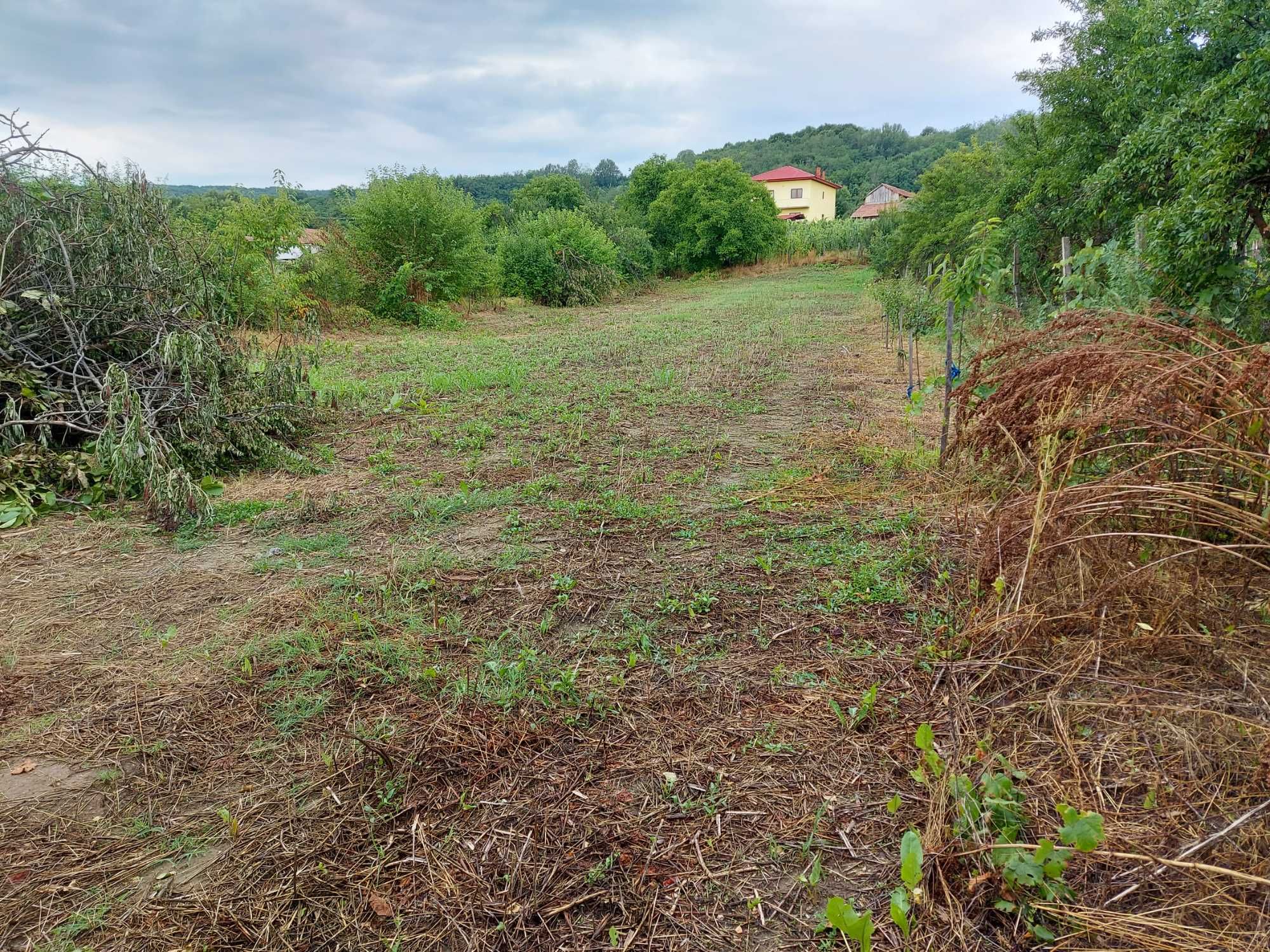 Vand casa 95mp cu teren 2284mp in Ionesti, Valcea