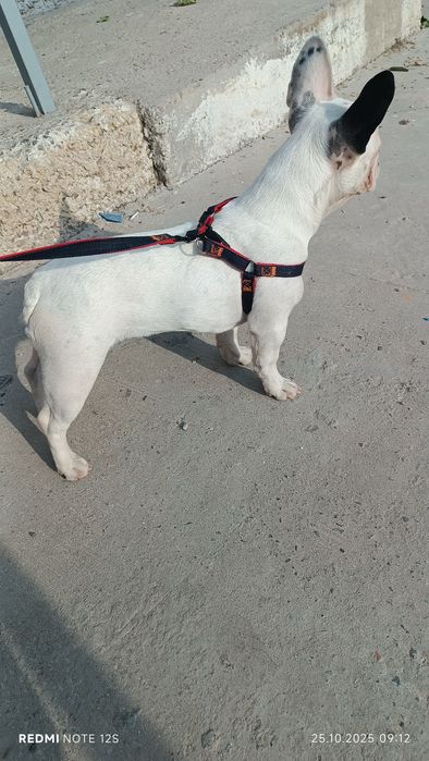 Девочка 5 месяцев