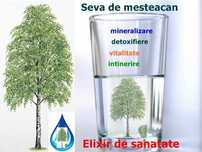 Seva de mesteacan proaspata