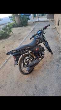 Mongol Shark 125ccc