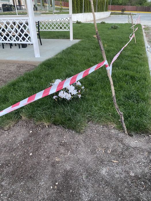 Pamant negru vegetal pentru amenajați spații verzi cu gazon rulou