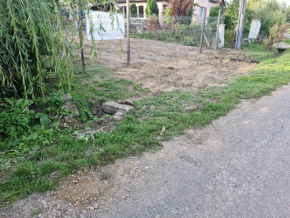 intravilan 28 de ari sau 63 de ari Viile Satu Mare cu livada de pruni