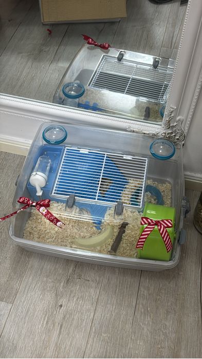 Donez hamster+ cusca