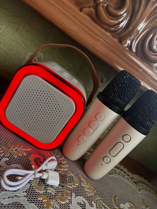 Караоке колонка с двумя микрофонами