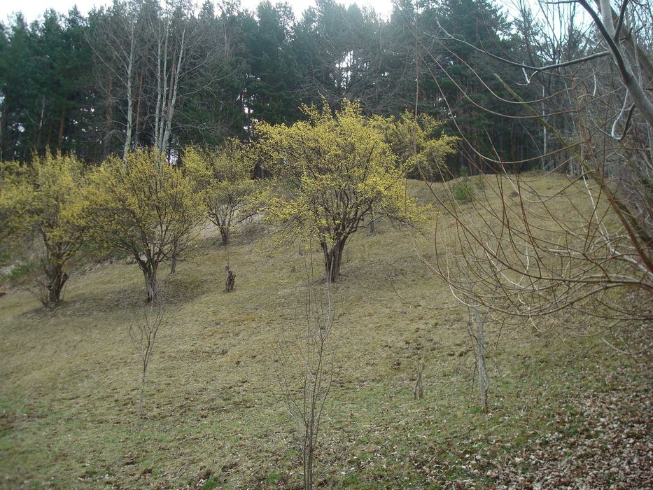 De vânzare teren de 5500 mp situat în Vădurele