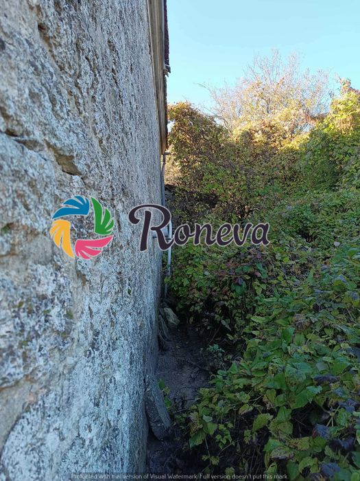 Голямо дворно място с къща и много сезонни постройки