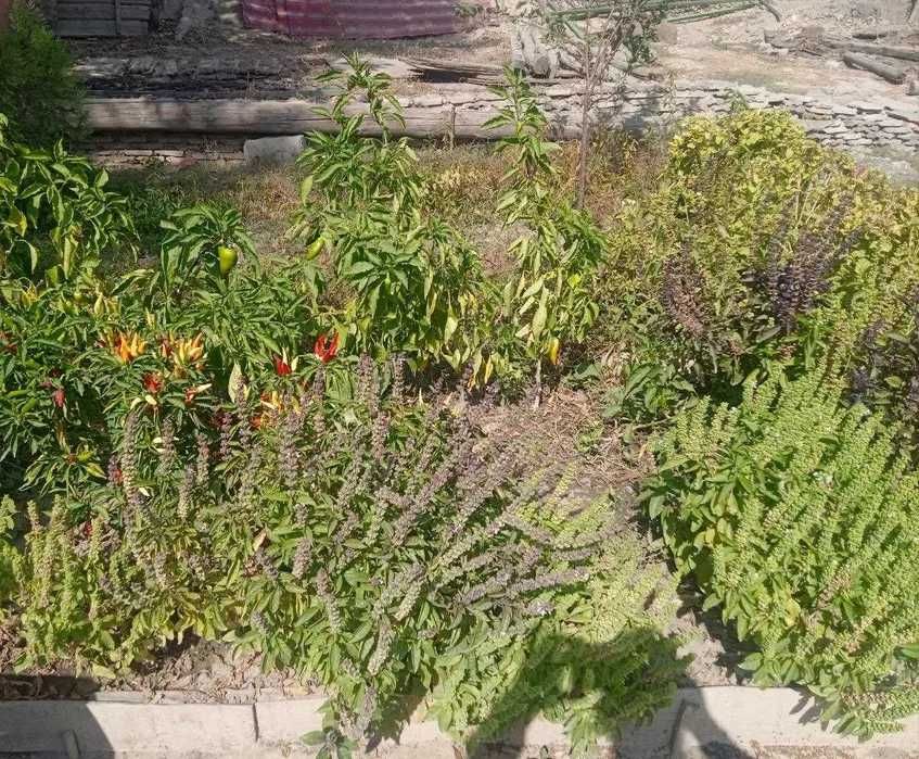 Срочно. Продаётся участок ТТЗ №10