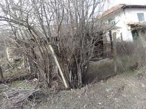 Продавам къща с двор