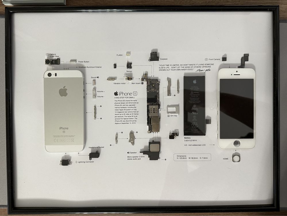 tablou iPhone SE 2016/5SE iPhone teardown art