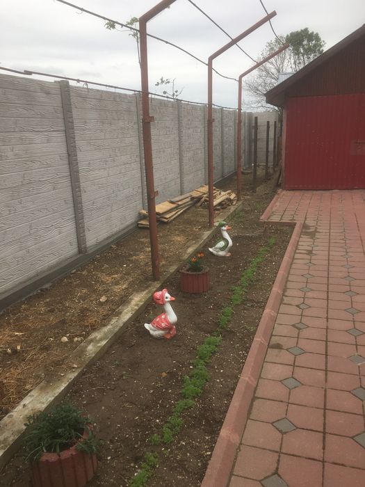 Vând placi gard beton 70lei bucata