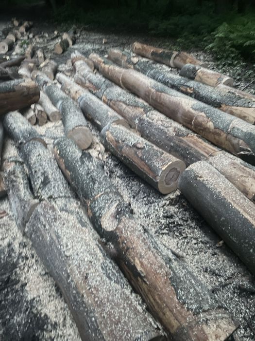 ‼️Lemne de foc de cea mai bună calitate[Fag,Gorun,Carpen,Cer]