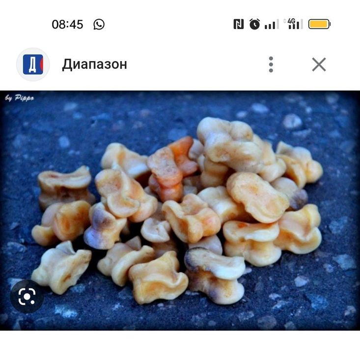 Продам  асык на наурыз