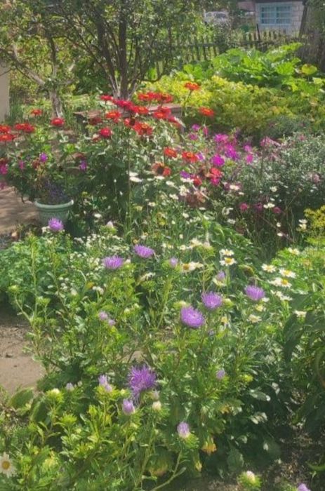 Продается дом в центре