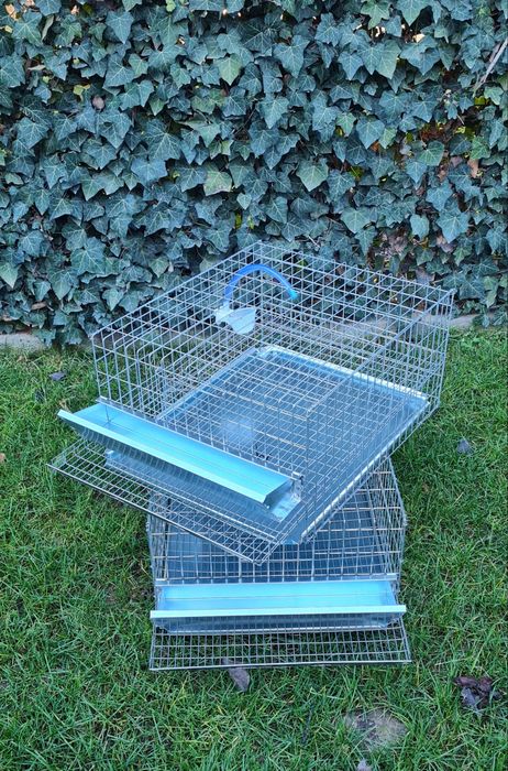 Baterie pentru 50 de prepelite