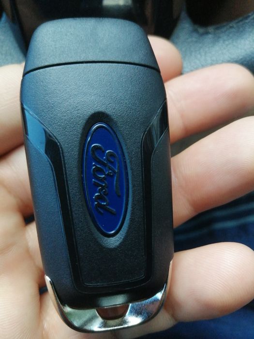Vand/schimb chei ford puma