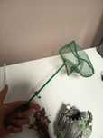 Obiecte decorative pentru acvariu