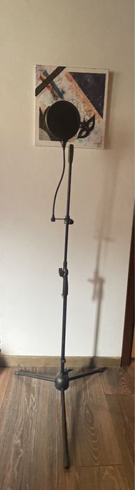 Focusrite Scarlett Solo Studio pack + stativ Microfon + filtru